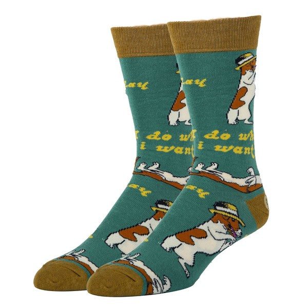 Do what I want - Men's Cotton Crew Funny Socks